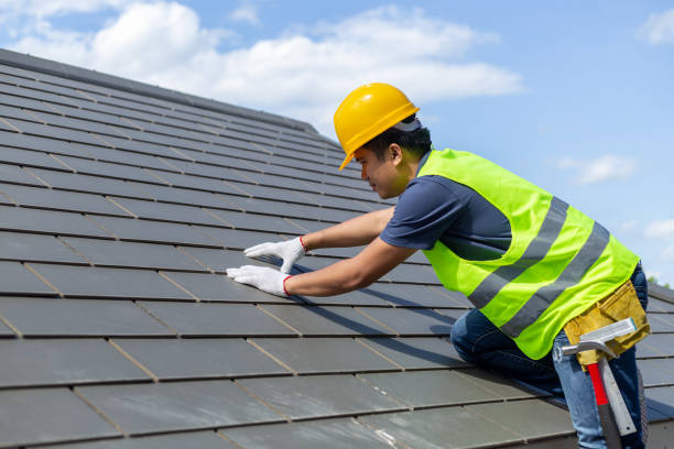Best Storm Damage Roof Repair  in Orange Beach, AL
