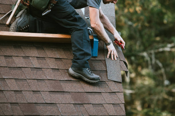 Best Metal Roofing Contractor  in Orange Beach, AL